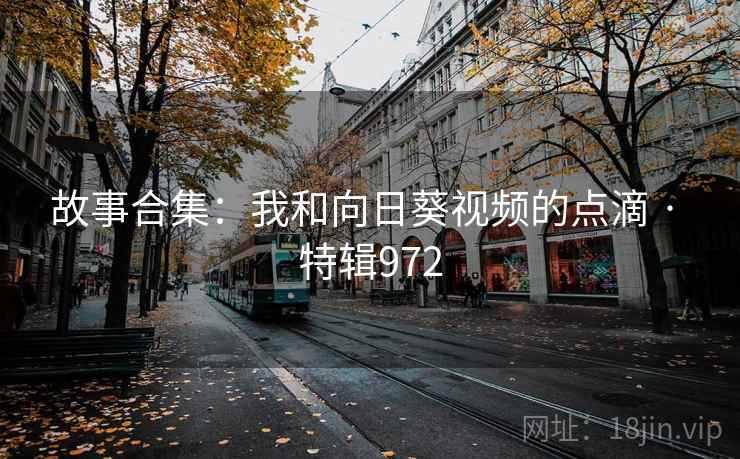 故事合集:我和向日葵视频的点滴 · 特辑972 第2张 故事合集:我和向日葵视频的点滴 · 特辑972 第2张